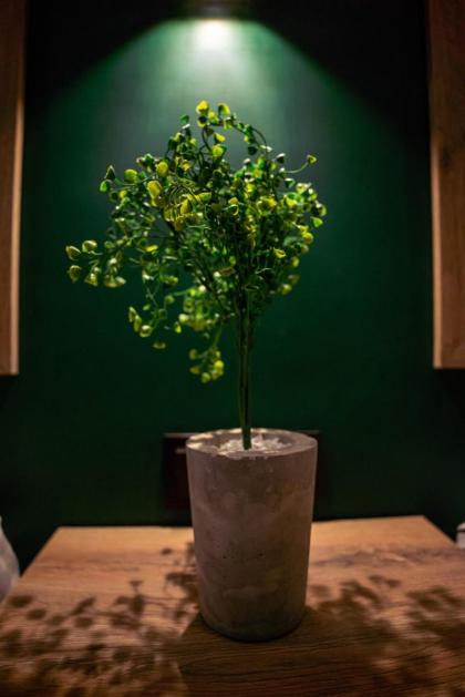 LOKAL Rooms x Lahore (Cavalry) - image 21